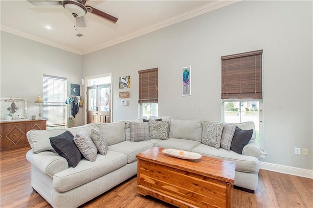 living room featuring ceiling fan, ornamental molding, and light wood-type flooring