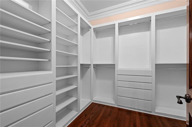65520 S Hickory Dr, Pearl River, LA 70452 - walk in closet featuring dark wood finished floors