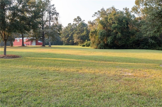 65520 S Hickory Dr, Pearl River, LA 70452 - view of green lawn