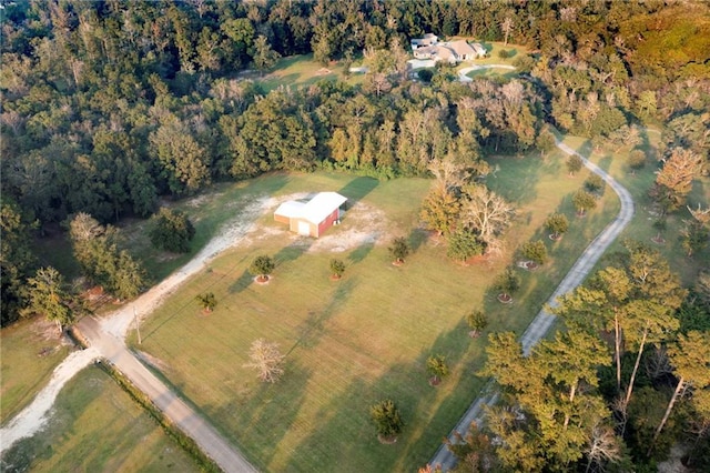 65520 S Hickory Dr, Pearl River, LA 70452 - view of property location featuring rural landscape and a forest