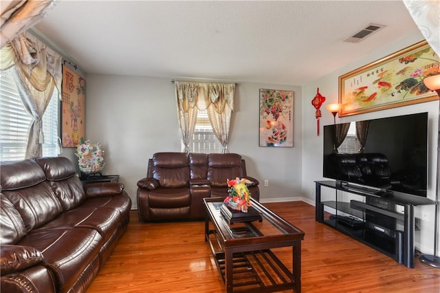 living room featuring a healthy amount of sunlight and hardwood / wood-style floors