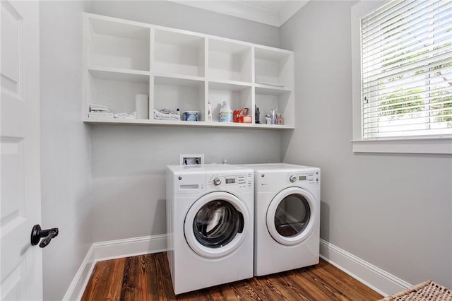 laundry area with dark hardwood / wood-style flooring and washing machine and clothes dryer