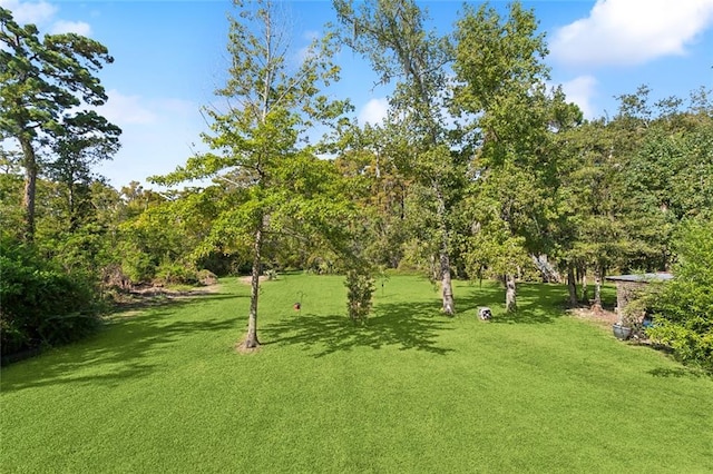 view of property's community with a lawn