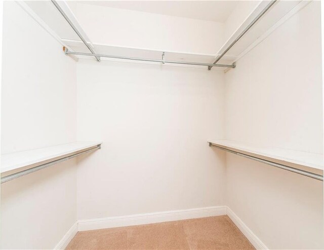 605 Florida St, Mandeville, LA 70448 - spacious closet with light carpet