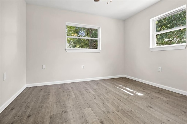 spare room with light hardwood / wood-style floors and ceiling fan