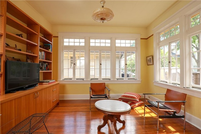 living area with hardwood / wood-style flooring and plenty of natural light