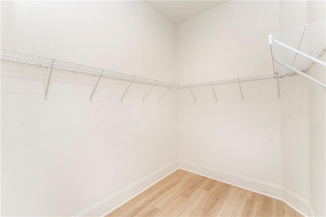 walk in closet featuring hardwood / wood-style floors