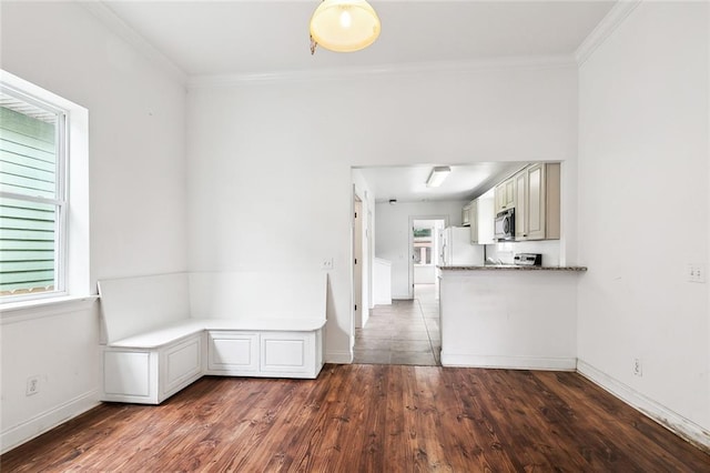 kitchen with dark wood-style floors, plenty of natural light, freestanding refrigerator, and ornamental molding