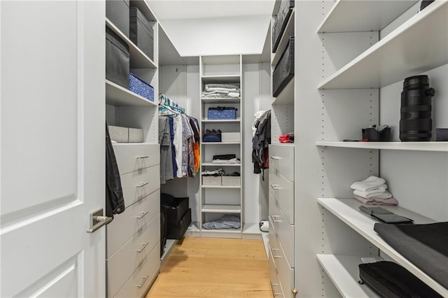 walk in closet with light hardwood / wood-style floors