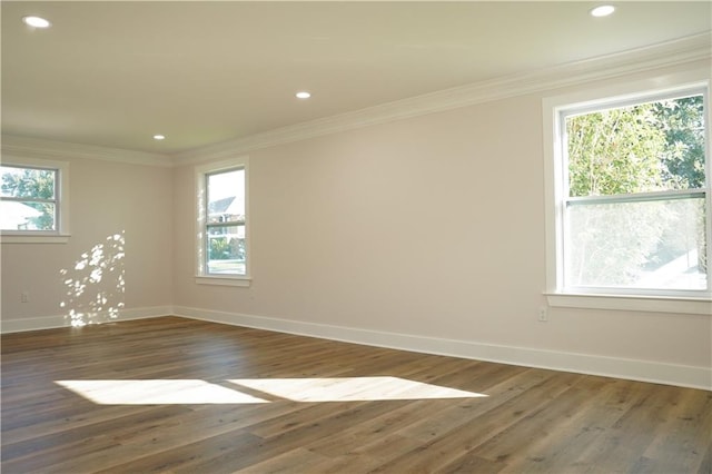 unfurnished room featuring ornamental molding and dark hardwood / wood-style flooring