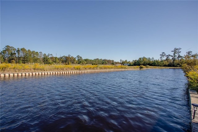 view of water feature