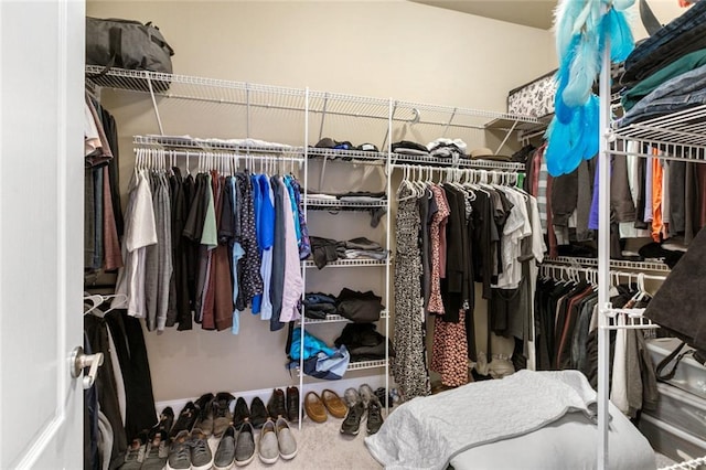 view of spacious closet