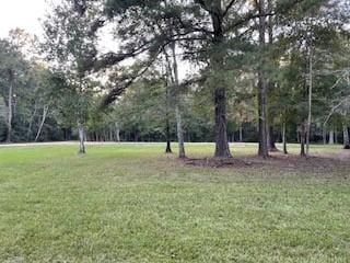 13001 Boyd Rd, Covington LA, 70435 land for sale