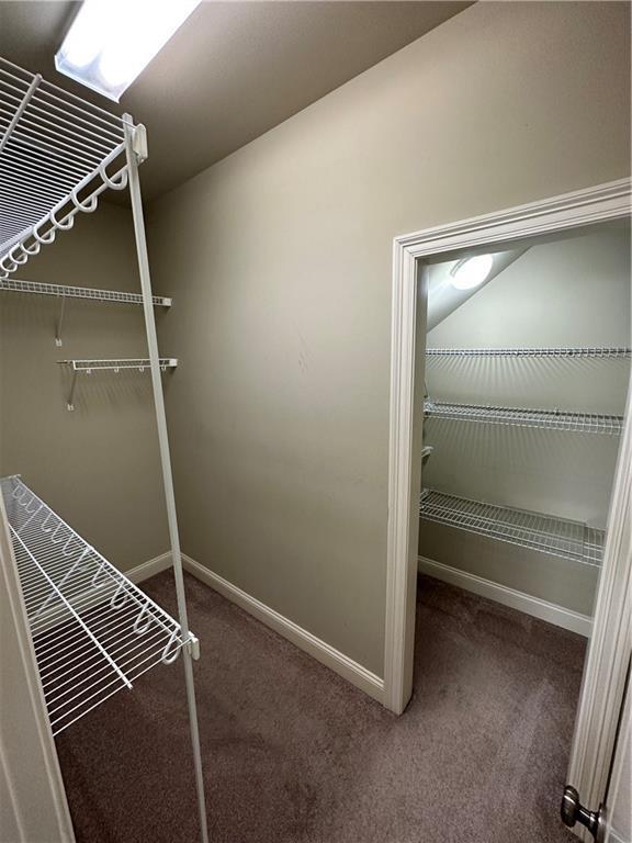 walk in closet with carpet flooring