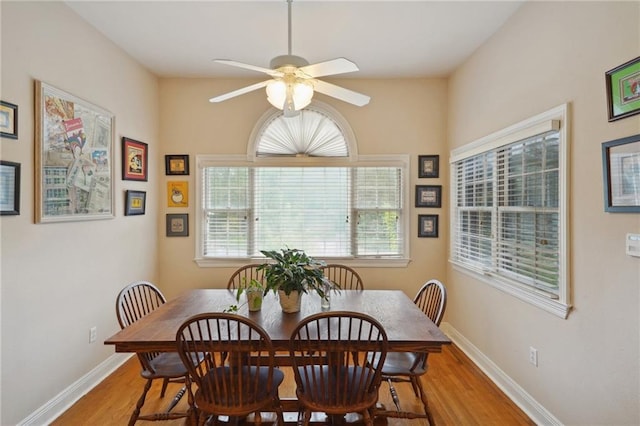 dining room with ceiling fan and hardwood / wood-style flooring