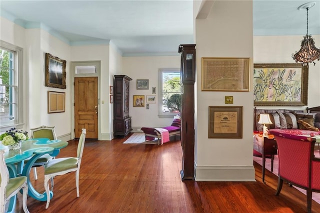 hall with a healthy amount of sunlight and dark hardwood / wood-style flooring