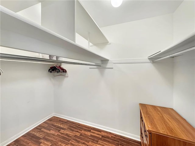 walk in closet featuring dark hardwood / wood-style flooring