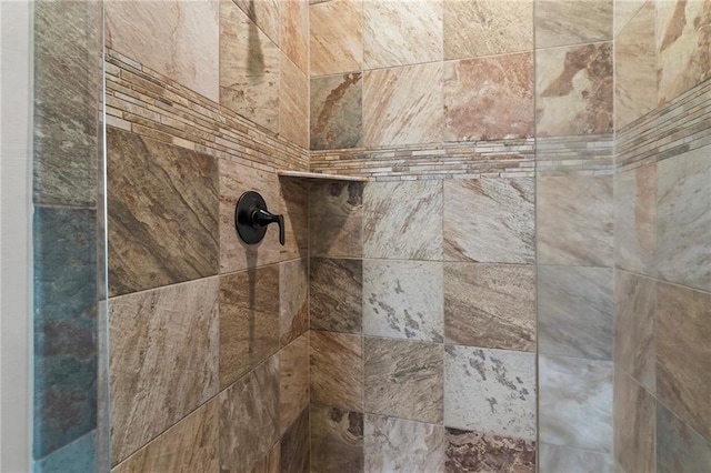 room details with tiled shower