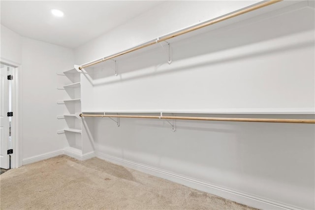 walk in closet with carpet floors