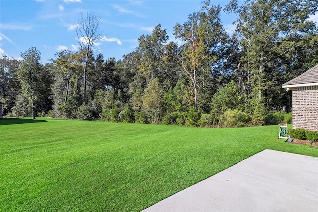 view of yard featuring a patio area