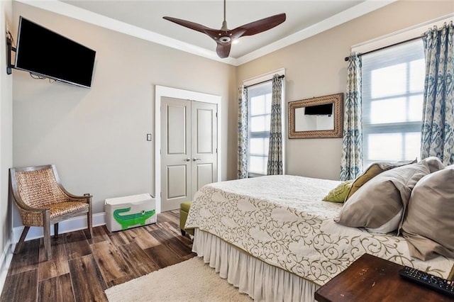 bedroom featuring multiple windows, a closet, dark wood-type flooring, and ceiling fan