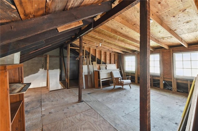 1135 Ursulines Ave, New Orleans, LA 70116 - view of attic