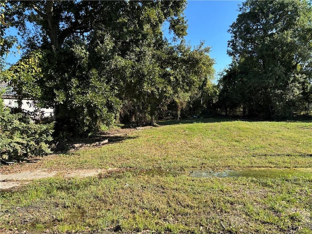 2917 Live Oak St, New Orleans LA, 70118 land for sale