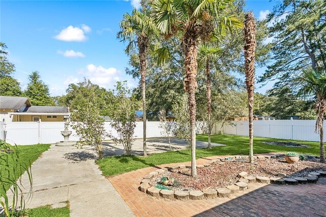 view of yard featuring a patio