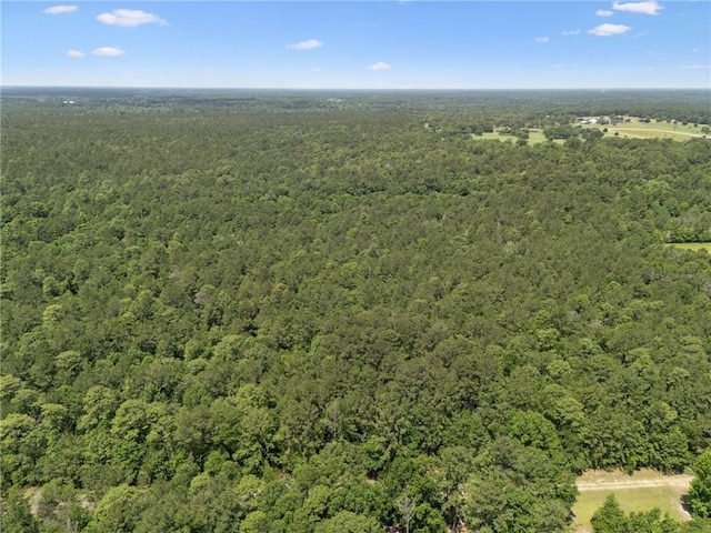 ParcelC Dreamland Court, Folsom, LA 70437 - photo 3