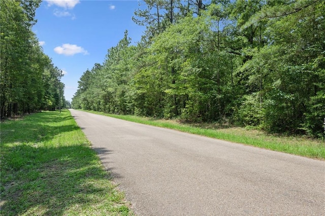 ParcelC Dreamland Court, Folsom, LA 70437 - photo 5