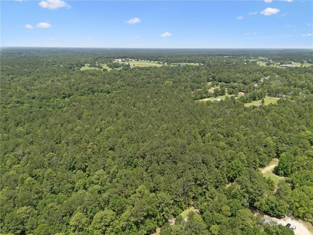 ParcelC Dreamland Court, Folsom, LA 70437 - photo 7