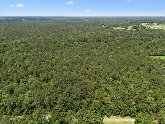 ParcelC Dreamland Court, Folsom, LA 70437 - photo 9