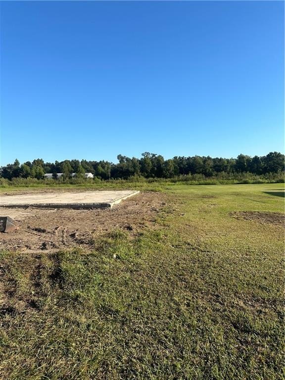 196 Bazile Dr, Braithwaite LA, 70040 land for sale