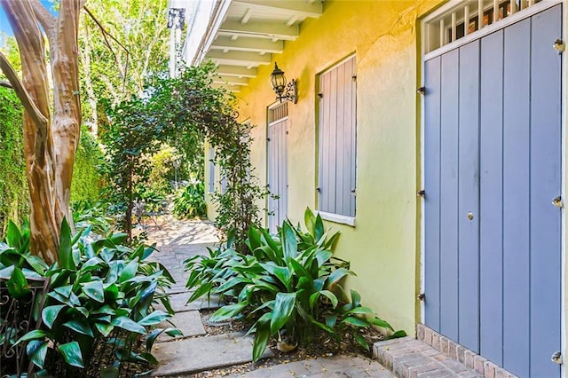 entrance to property with a patio area and stucco siding