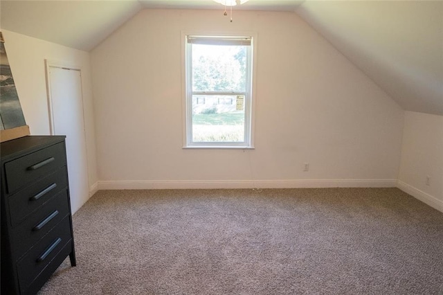 additional living space featuring carpet and lofted ceiling