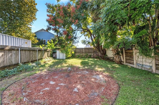 view of yard with a shed