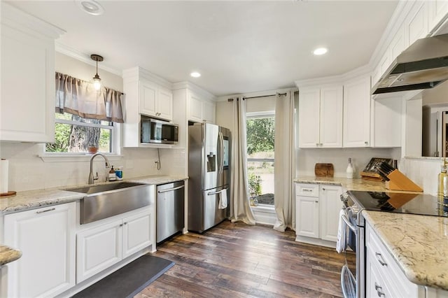 kitchen with a wealth of natural light, dark wood-type flooring, stainless steel appliances, and range hood