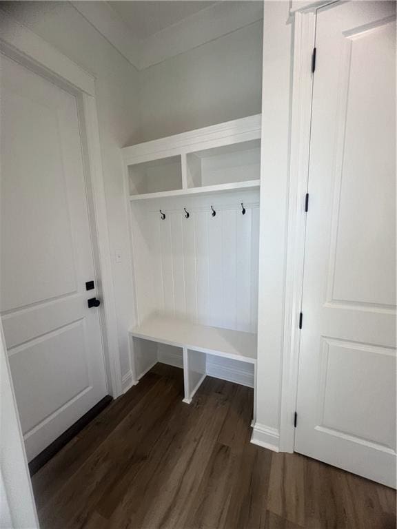 mudroom with dark wood-type flooring