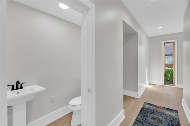 bathroom featuring toilet, sink, and wood-type flooring