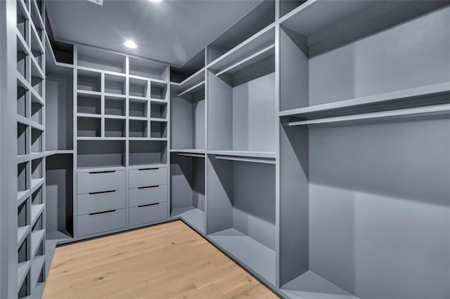 walk in closet with hardwood / wood-style flooring