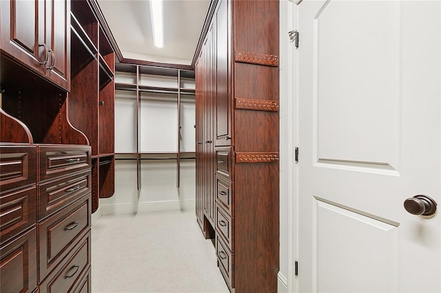 view of walk in closet