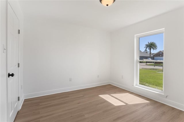 spare room featuring wood-type flooring and a wealth of natural light