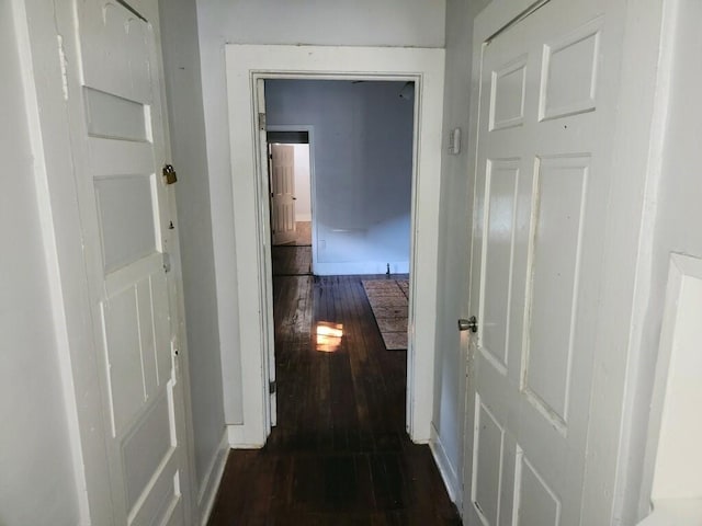 hallway featuring dark hardwood / wood-style floors