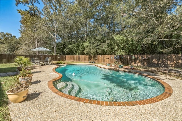 view of swimming pool with a patio, a fenced in pool, and a fenced backyard