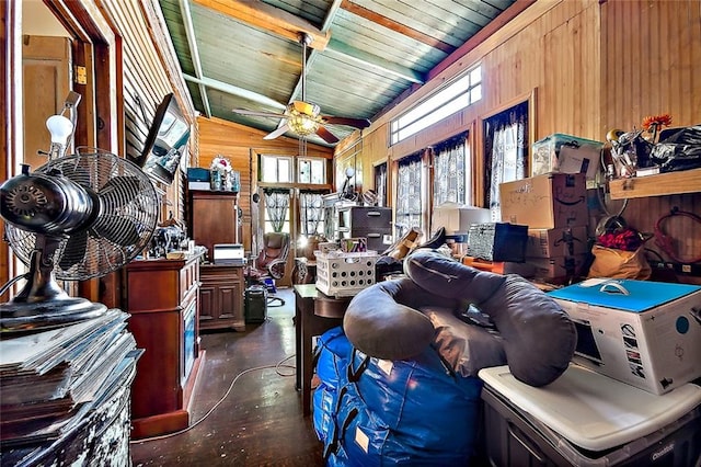 storage room with ceiling fan