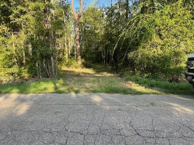 Bunny Ln, Covington LA, 70435 land for sale