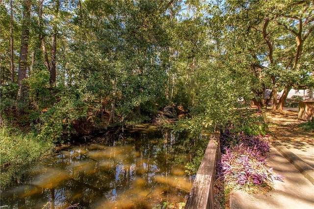 64 Fairway View Dr Unit 1, Hammond, LA 70401 - view of local wilderness