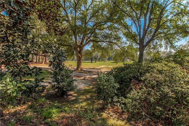 64 Fairway View Dr Unit 1, Hammond, LA 70401 - view of yard