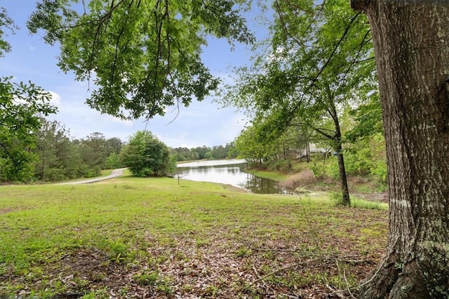 25300 Hammerstone Dr, Franklinton, LA 70438 - photo 29