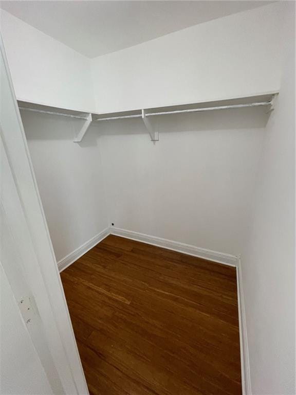 walk in closet featuring dark wood-type flooring